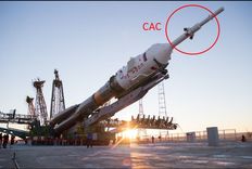 САС выделен.jpg